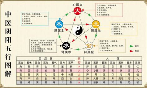 中醫陰陽五行學說|《中醫基礎理論》完整版電子書